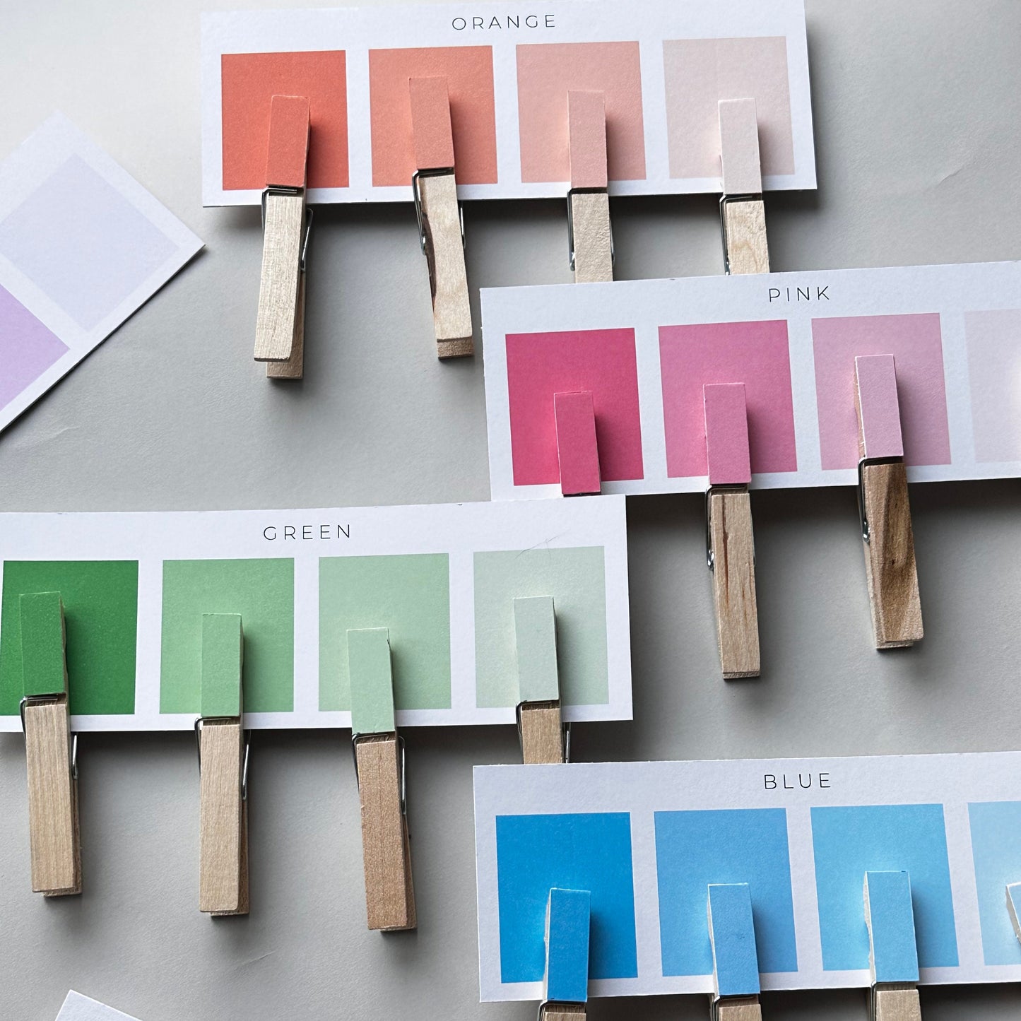 Montessori Toddler, Montessori Materials, Educational Toys, Montessori Toys, Color Sorting, Learning Colors, Homeschool Printables, Kids DIY