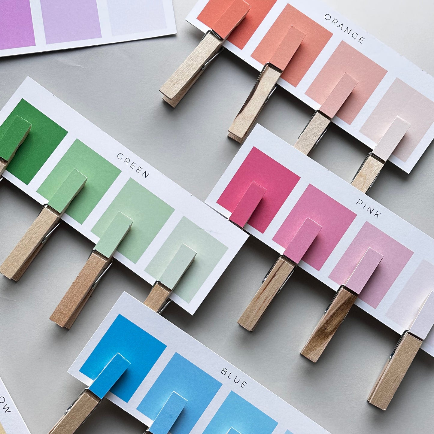 Montessori Toddler, Montessori Materials, Educational Toys, Montessori Toys, Color Sorting, Learning Colors, Homeschool Printables, Kids DIY
